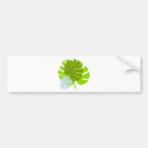 feuilles adhésifs pour voiture