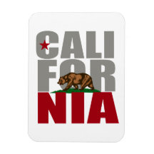 FIERTÉ D'OURS DE LA CALIFORNIE - MAGNETS EN RECTANGLE