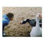 fille avec la carte postale d'oies cartes postales