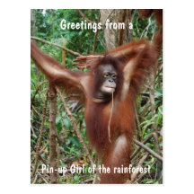 Fille de Pin- d'orang-outan d'humour de forêt trop Carte Postale