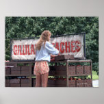 Fille vendant des pêches posters