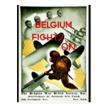 Fils de combat de la Belgique Cartes Postales