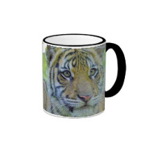 Fin de CUB de tigre vers le haut de portrait Tasse À Café