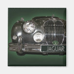 Fin de Jaguar Aimant