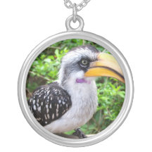 Fin d'oiseau de calao regardant l'appareil-photo collier