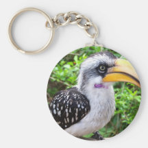 Fin d'oiseau de calao regardant l'appareil-photo porte-clés