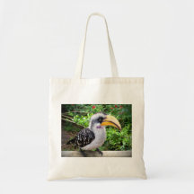 Fin d'oiseau de calao regardant l'appareil-photo sacs