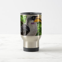 Fin d'oiseau de calao regardant l'appareil-photo tasses à café
