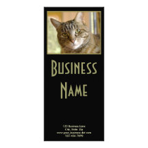 Fin grise de chat tigré vers le haut de photograph cartes doubles