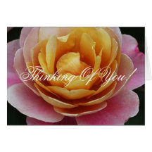 Fin simple de rose de rose et de jaune cartes