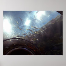 Fish1 Poster