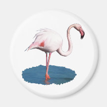 Flamant rose dans la piscine de l'eau bleue magnets pour réfrigérateur