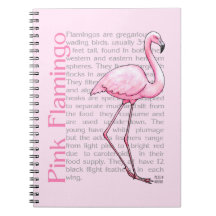 Flamant rose sur le texte carnets à spirale