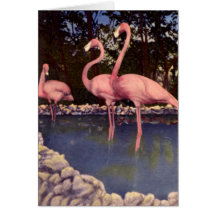 Flamants roses la Floride Cartes De Vœux
