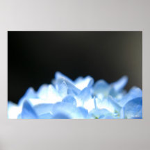 Flammes bleues affiche