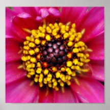 Fleur #2 affiche