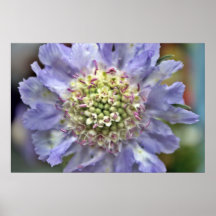 Fleur #3 poster