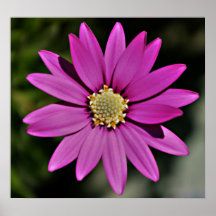 Fleur #4 affiche