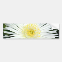 Fleur blanche autocollant pour voiture