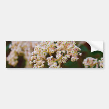 Fleur blanche autocollants pour voiture