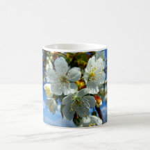 Fleur blanche de pomme tasse