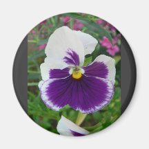 Fleur blanche et violette aimants