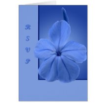 Fleur bleue cartes de vœux