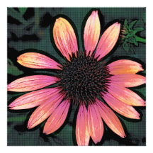 Fleur changée de grunge de roses indien d'art de b photographie
