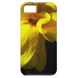 fleur coque iPhone 5