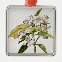 Fleur d'arbre orange, de 'La Guirlande de Julie' Décorations De Noël