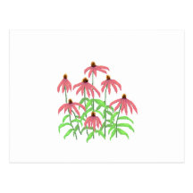 fleur de cône carte postale