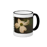 Fleur de cornouiller - tasse