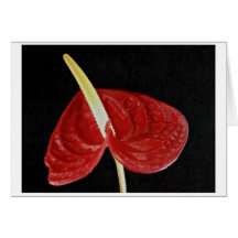 Fleur de flamant rose cartes