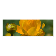 Fleur de globe asiatique jaune modèles de cartes de visite