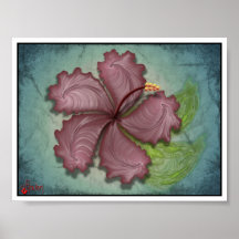 Fleur de ketmie affiche