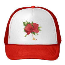 Fleur de ketmie casquette