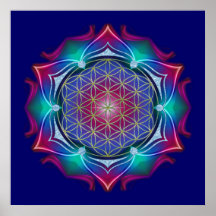FLEUR DE LA VIE/de DES Lebens - mandala IV de Blum Posters