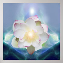 Fleur de lotus blanc dans le cristal bleu affiche