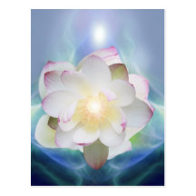 Fleur de lotus blanc dans le cristal bleu cartes postales