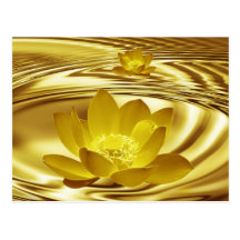 Fleur de lotus d'or cartes postales
