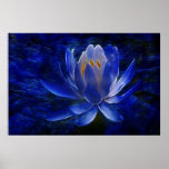 Fleur de Lotus et sa signification Affiches