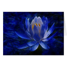 Fleur de Lotus et sa signification Carte De Vœux