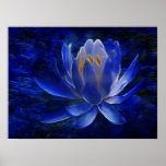 Fleur de Lotus et sa signification Posters
