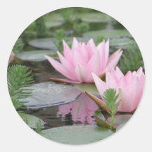 Fleur de Lotus/nénuphar Autocollants