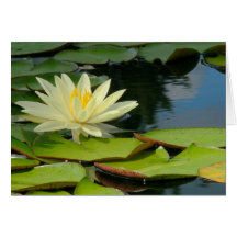 Fleur de Lotus (Photog.) avec la citation de Boudd Carte De Vœux