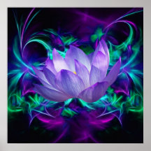 Fleur de Lotus pourpre et sa signification Affiches