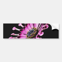 Fleur de marguerite africaine autocollants pour voiture