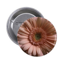 Fleur de marguerite pin's