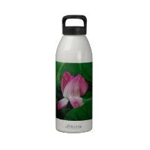 Fleur de mer bouteille
