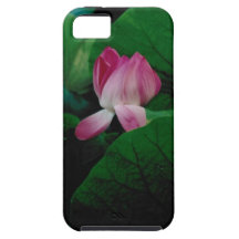 Fleur de mer coque iPhone 5